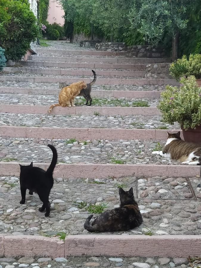 Appartamento La Scaletta Cavaion Veronese Kültér fotó